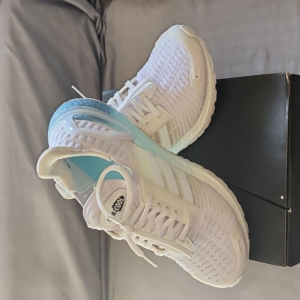 Adidas Ultraboost Climacool DNA